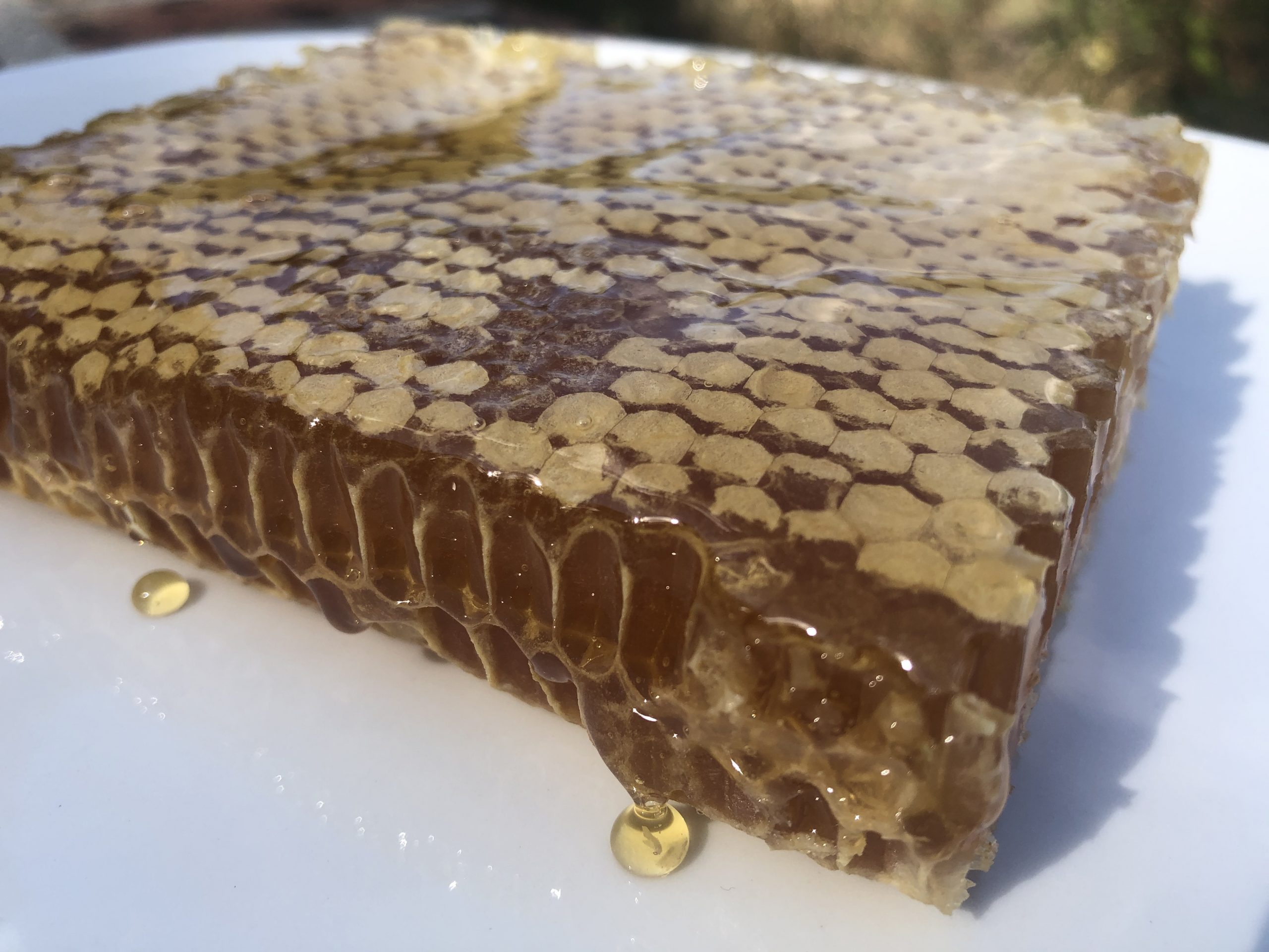 Miel bio en rayon – Les Ruchers du Dourdannais